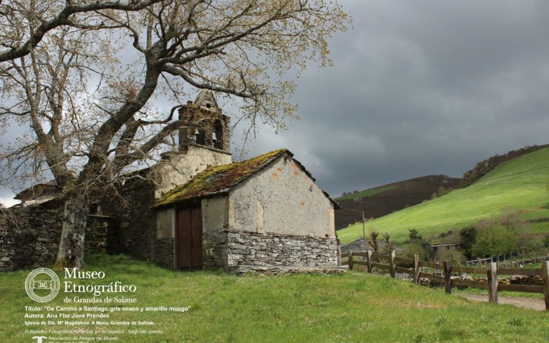 Iglesia de Santa María Magdalena, en A Mesa, Grandas de Salime