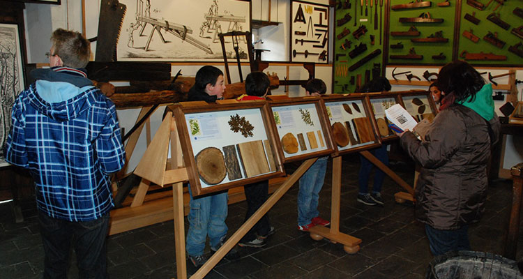 Programación para escolares en el Museo