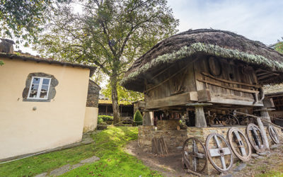 El Museo permanecerá cerrado del 6 de enero al 21 de marzo