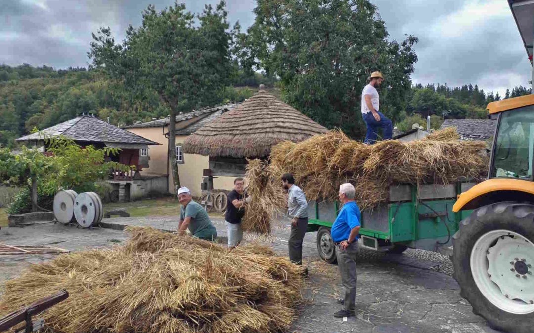 Mallega y otras actividades cotidianas de las familias campesinas del occidente asturiano