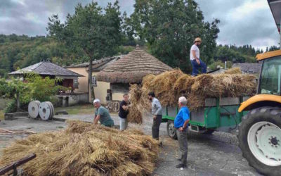 Mallega y otras actividades cotidianas de las familias campesinas del occidente asturiano