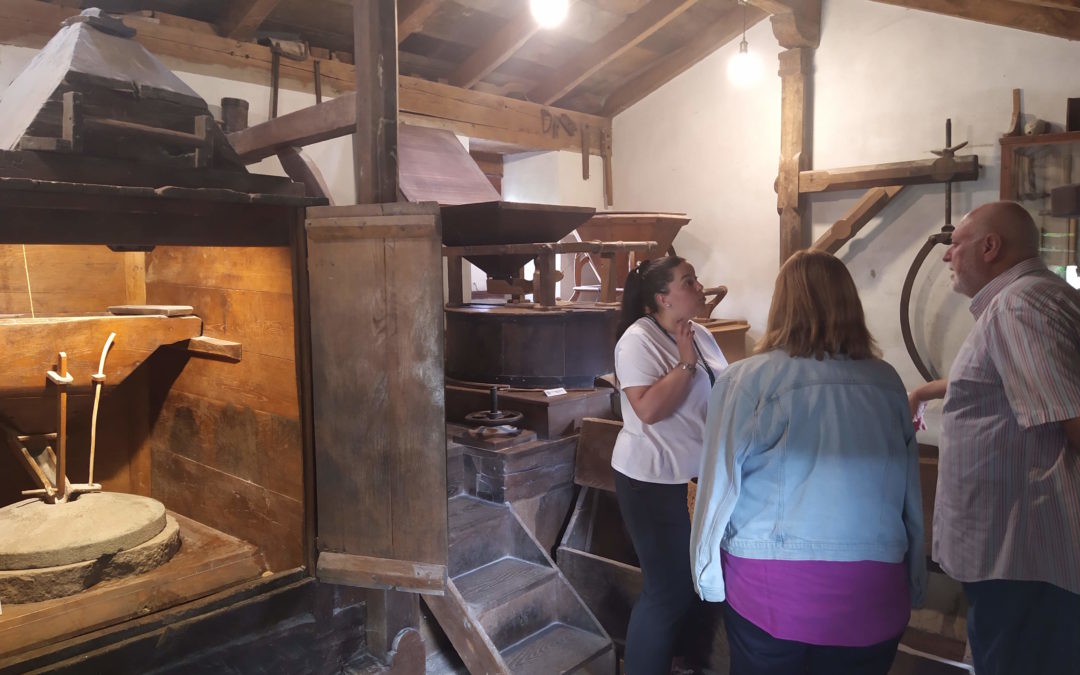 Visitas guiadas al molino hidráulico