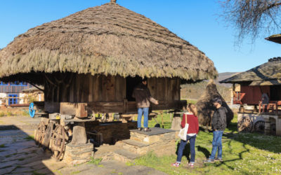 El Museo amplía su programación para este verano