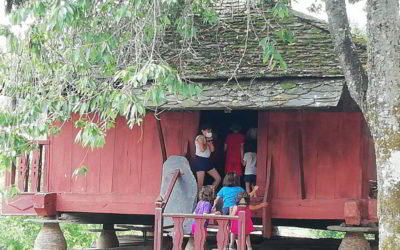 Programación para escolares en el Museo